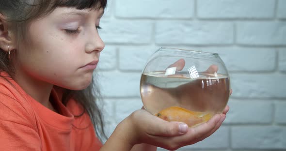 Dreaming By Fish alt