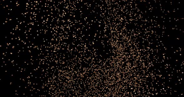 Coriander, coriandrum sativum, seeds falling against Black Background, Slow Motion 4K alt