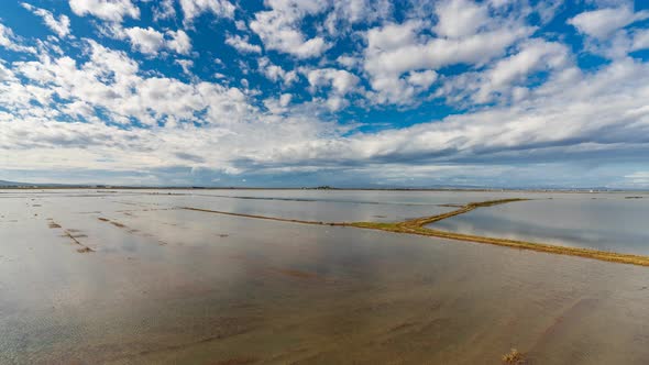 Flooded Rice Fields Time Lapse in Albufera, Valencia