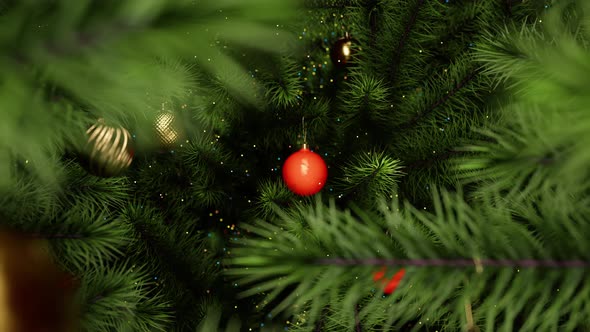 Inside Of Christmas Tree