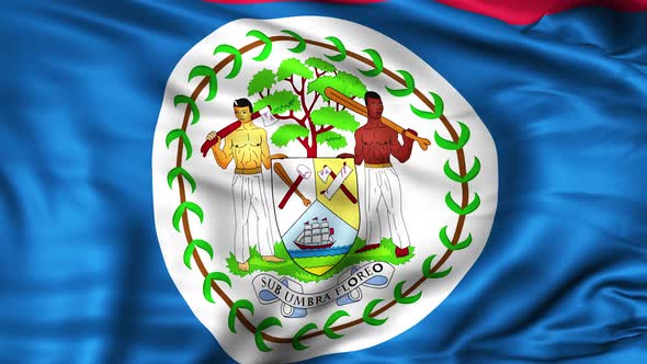 Belize Flag alt