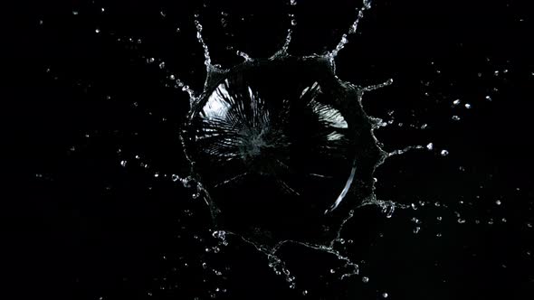 Super Slow Motion Shot of Water Splash Isolated on Black Background at 1000Fps alt