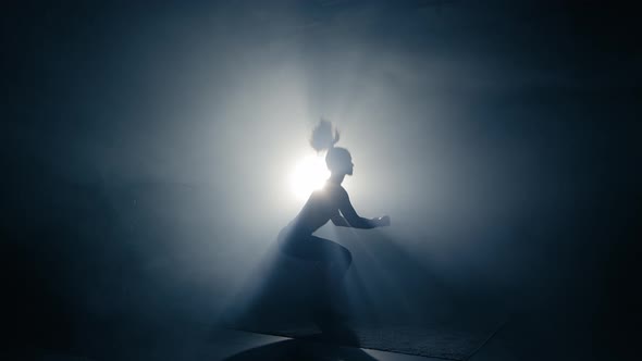 Fit Woman Training. Backlighted Woman Silhouette Doing Squat Jump Exercises. Side View, Slow Motion alt