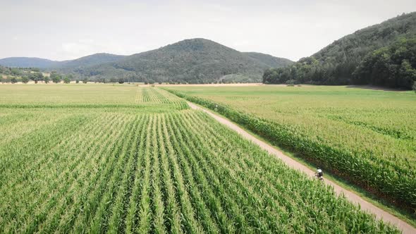 Riding bicycle. Cinematic Cycling alt