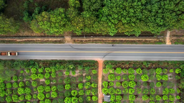 4K Aerial view over a farmer's garden. A car drives on a road near a garden in rural Thailand. alt