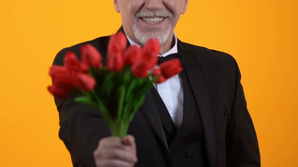 Smiling Senior Male Presenting Red Tulips, Well-Mannered Gentleman on Date alt
