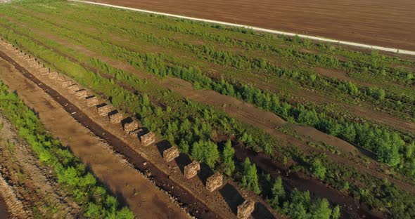 Peat Harvesting Field in Drained Bog Landscape Aerial View alt