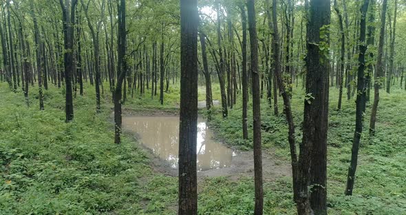 The Traditional Way Of Water Harvesting In Uttarakhand India