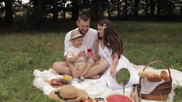 Mom, Dad and Their Young Son on a Picnic in the Park in the Summer