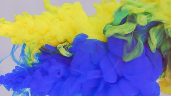 Liquid Abstractions the Dissolution of Blue and Yellow Paint in Water alt