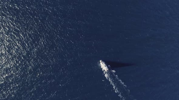 Sailing into Open Sea in Spain alt