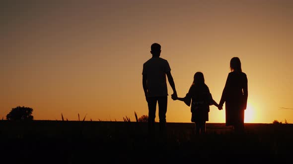 Young Family with a Child Admiring the Sunset in the Field, Holding Hands alt