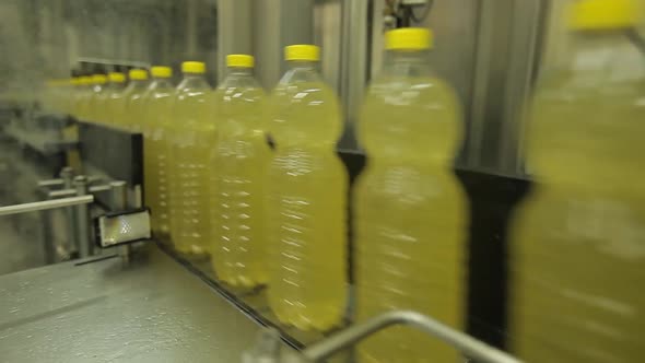 Soybean oil production and packaging process for human consumption. Industrial production in Brazil.