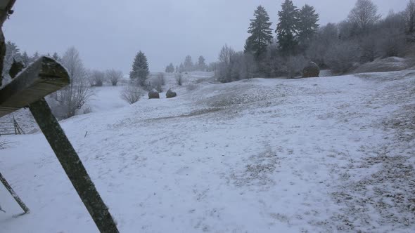 Winter scenery on a hill  alt