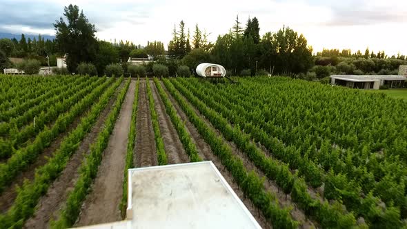 Aerial - vineyard under the clouds, Mendoza, Cuyo, Argentina, wide shot backward alt