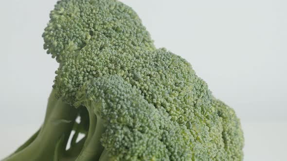 Organic broccoli Brassica oleracea slow tilt footage on white alt