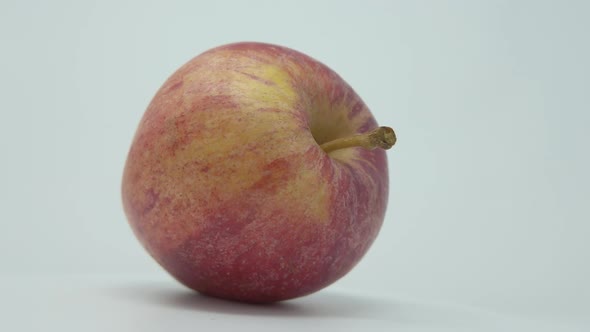 Gala Apple. One apple that’s  rotations. alt