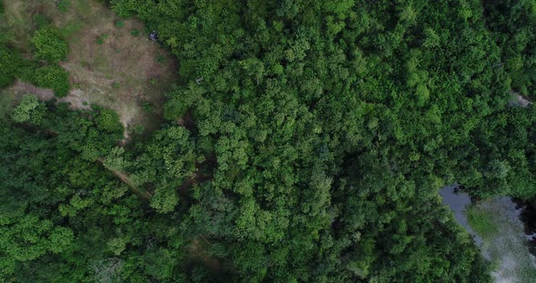 Green trees in natural tropical forest by the river, top view aerial drone shot