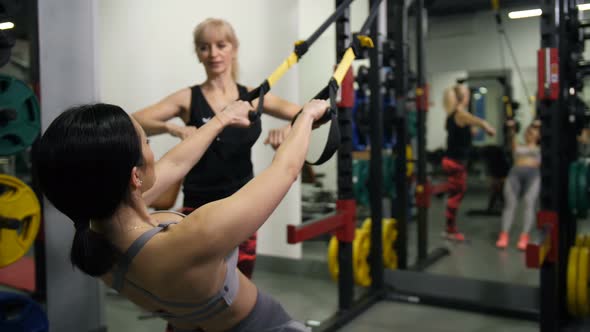 TRX Training alt