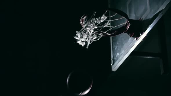 Future NBA Champion alt