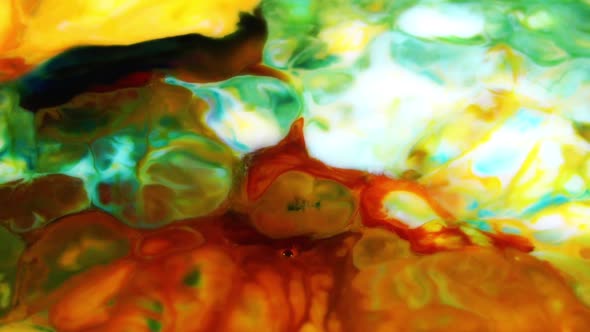 Colorful Color Vibrant Blast alt