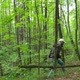 Man Walks Uphill Through A Green Forest - VideoHive Item for Sale