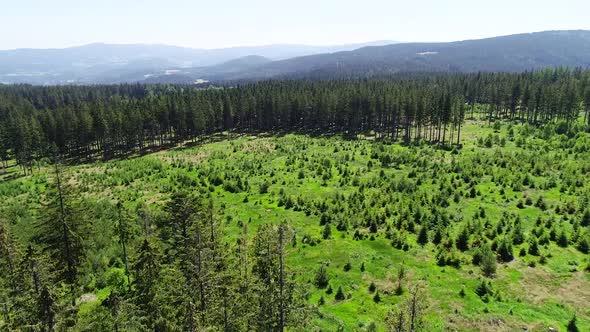 Aerial Czech Forest - Sumava National Park