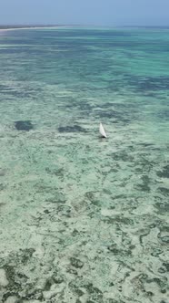 Tanzania  Vertical Video of Low Tide in the Ocean Near the Coast of Zanzibar Slow Motion alt