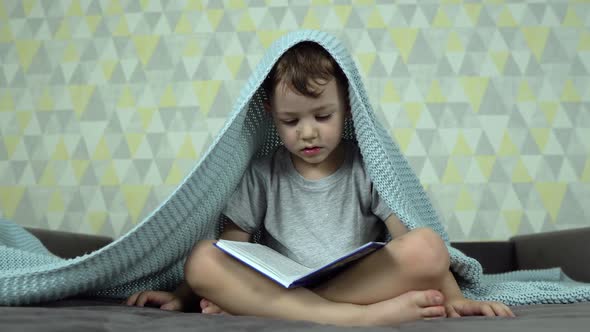 Concentrated Little Boy Sitting on Bed Reading Book at Home