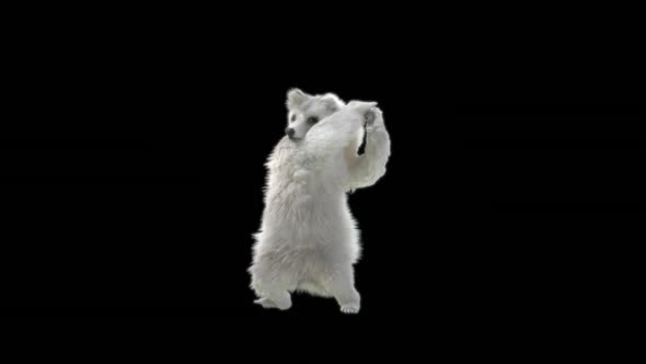 185 Bear Two Hand Sword Combo HD alt