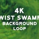 Twist Swamps 4k loop - VideoHive Item for Sale