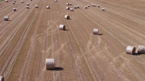 Flying Over Stubble Field alt