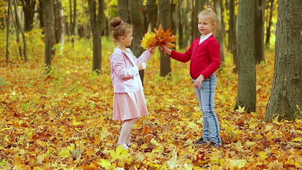 Two little girls collect a bouquet of yellow leaves in the autumn in the Park.
