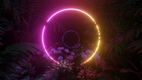 Glowing Neon Circles In The Forest 4K