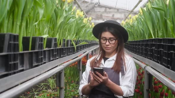 girl checks the blooming tulips in the greenhouse and writes the data to phone. alt