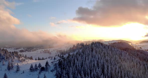 Drone Aerial Trees Clouds Fog Snow Wind Sunset  alt