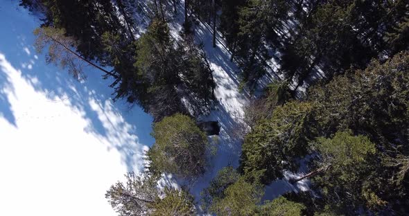 Female Male Biathlete Marathon in Sportswear on the Skiing Track alt