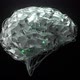 Brain And Green Neurons Looped - VideoHive Item for Sale