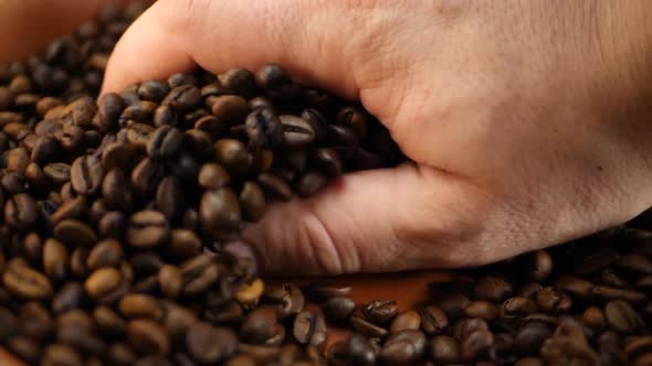 Farmer Picks Up Hand Roasted Brown Coffee Beans
