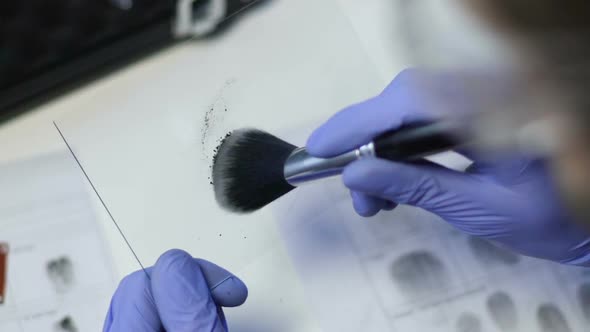 Agent Comparing Suspect Fingerprint Sample With Database File, Identification alt