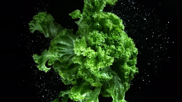 Super Slow Motion Shot of Rotating and Splashing Fresh Lettuce at 1000Fps. alt