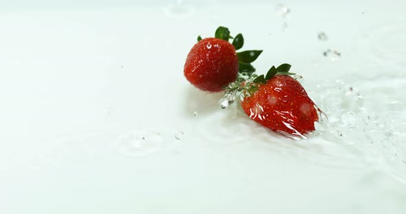 900026 Strawberries, fragaria vesca, Falling on Water, Slow Motion 4K alt