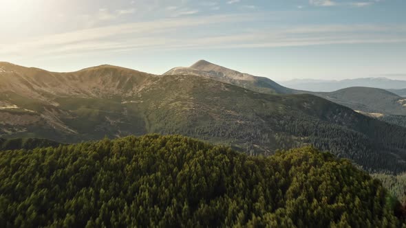Alps Mountain Range in Pine Trees Forest Aerial alt