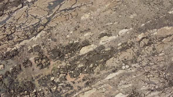 Stone Coast with Various Textures on the Coast of the North Sea alt