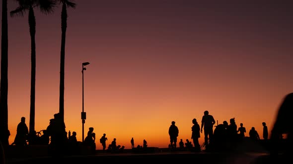 Silhouette of Young Jumping Skateboarder Riding Longboard, Summer Sunset Background. Venice Ocean alt