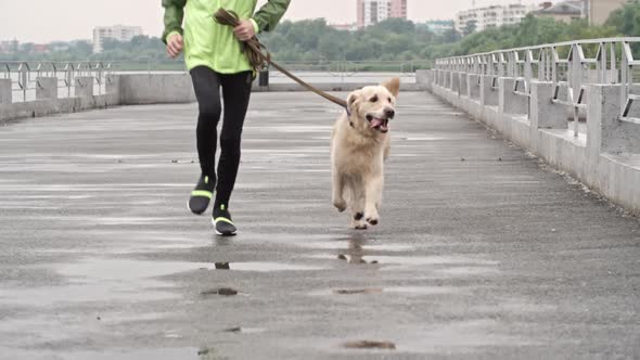 Child Bringing Dog for a Run alt