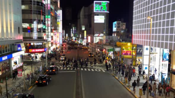 Tokyo Miniatures Crowd City