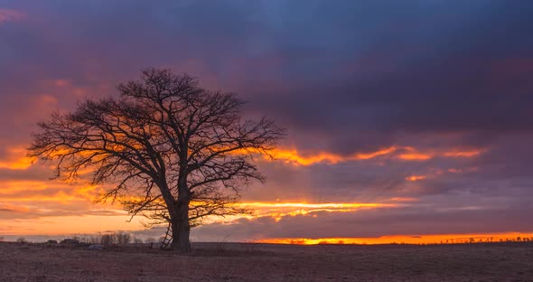 Time Lapse of Sunset at Dawn alt