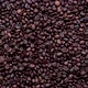 Coffee beans - VideoHive Item for Sale
