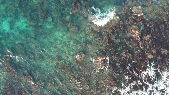 Aerial View Of Beautiful Ocean Water With Coral In Jamaica